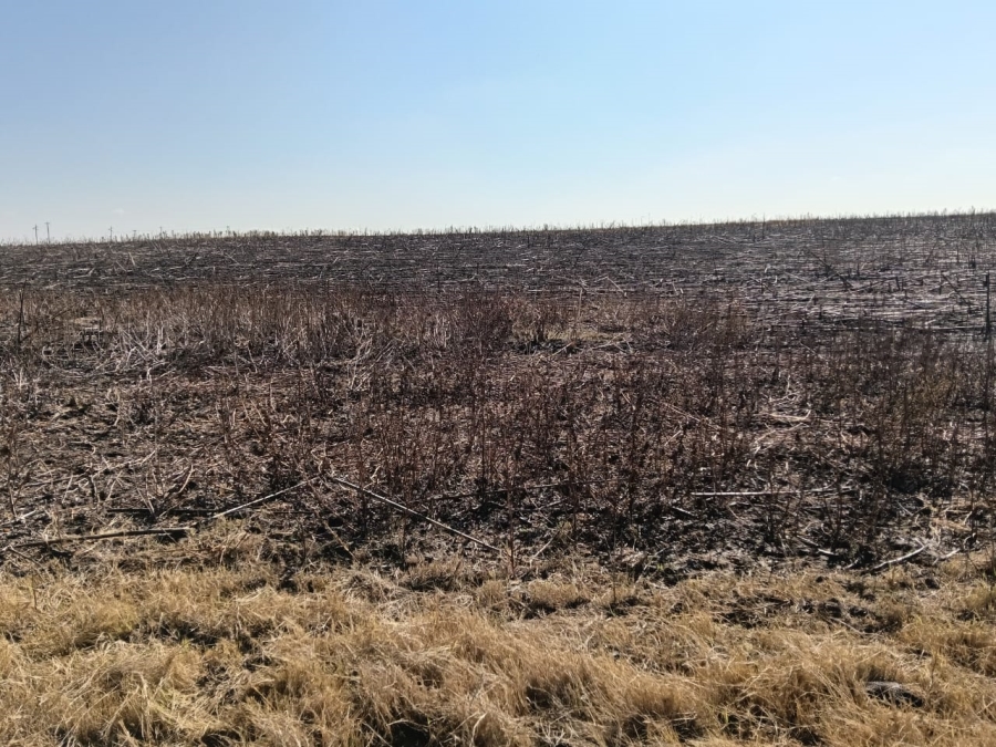 0 Bedroom Property for Sale in Heilbron Rural Free State